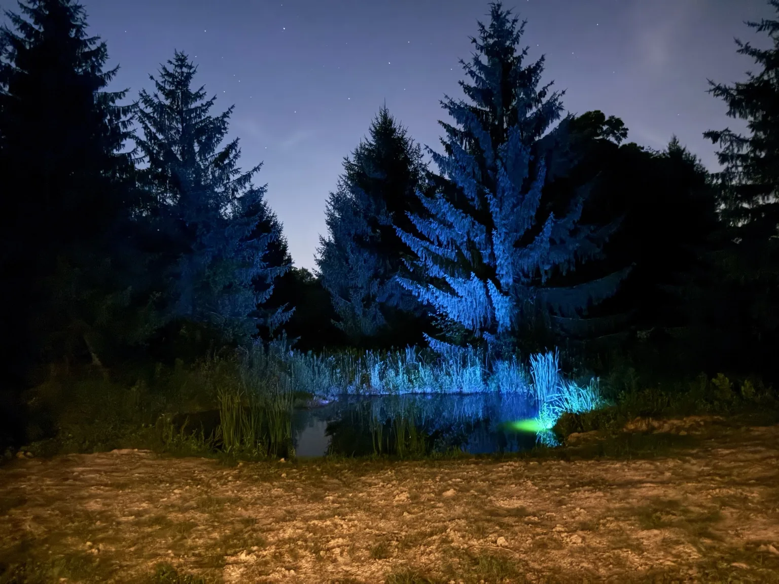 Pond at night
